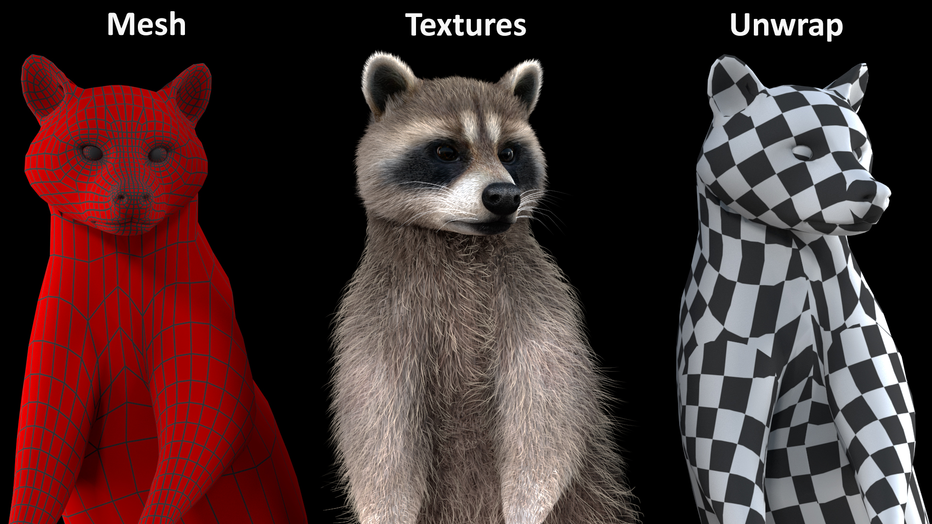 3D model Raccoon Standing Pose Fur