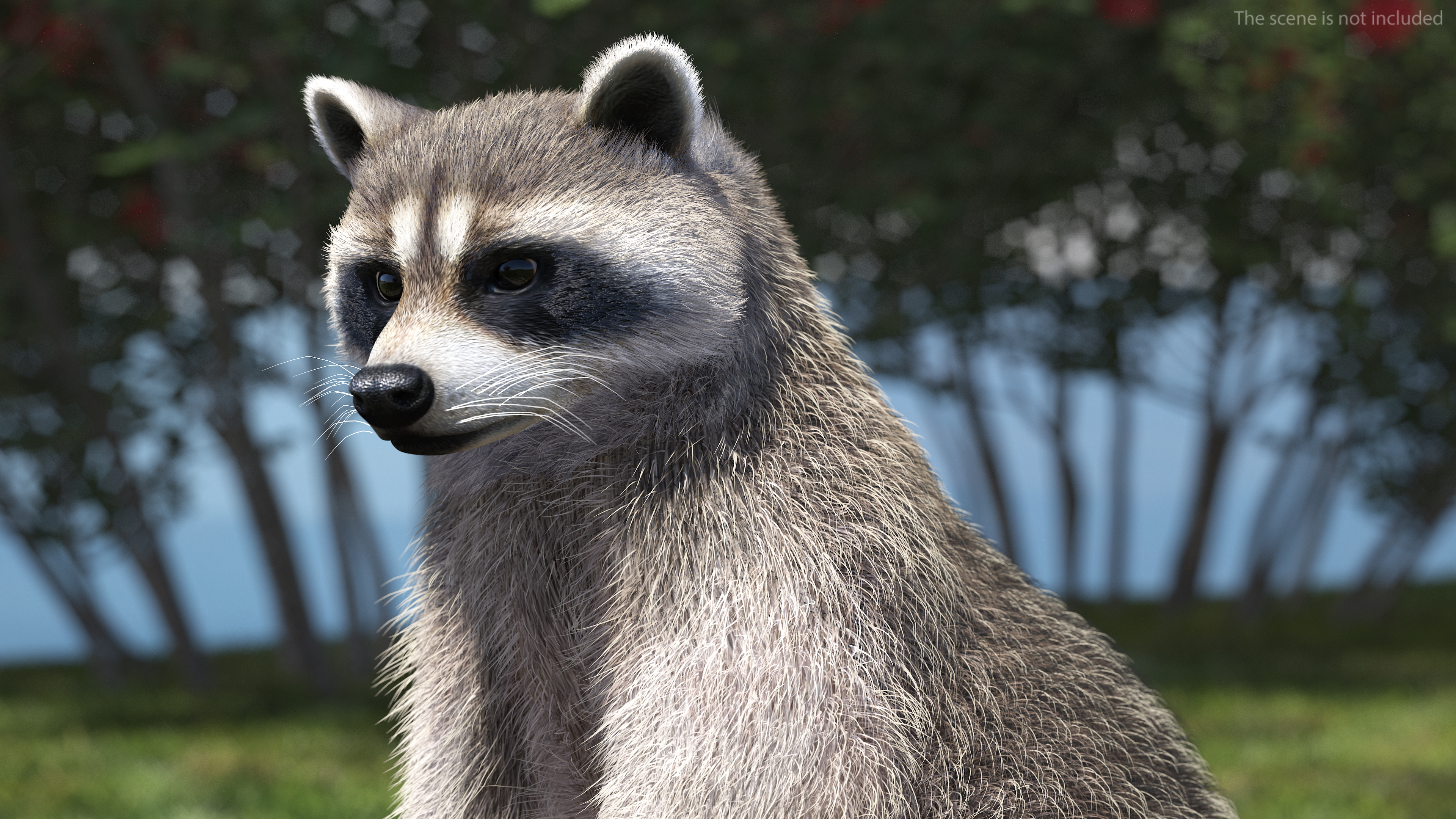 3D model Raccoon Standing Pose Fur