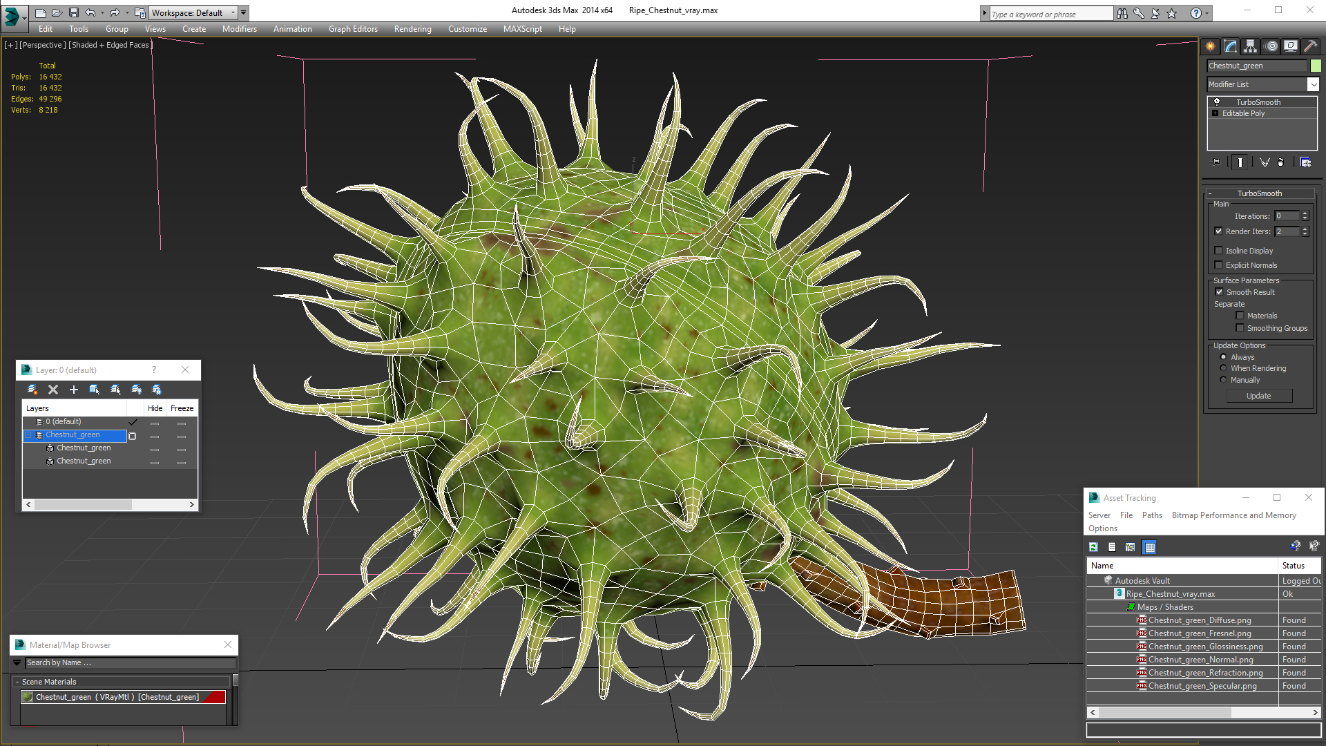 3D Ripe Chestnut model