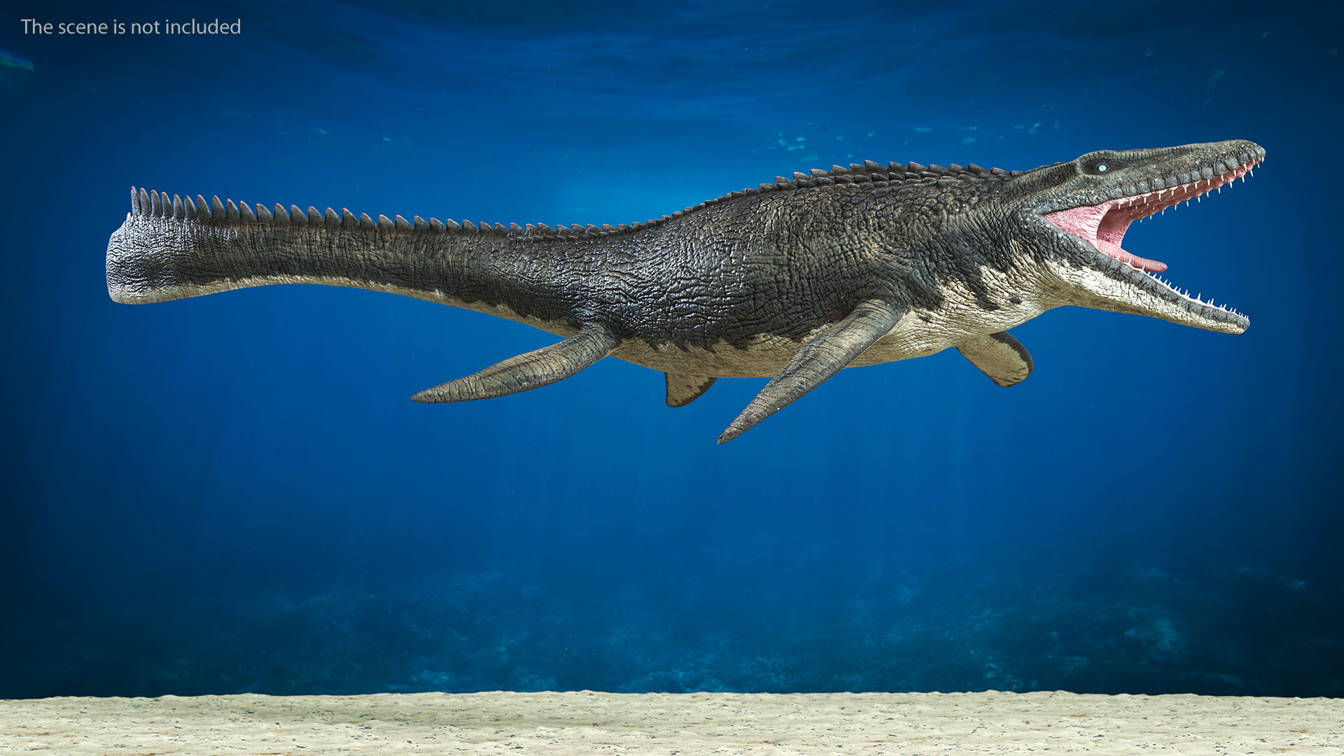 Mosasaurus Swimming 3D model