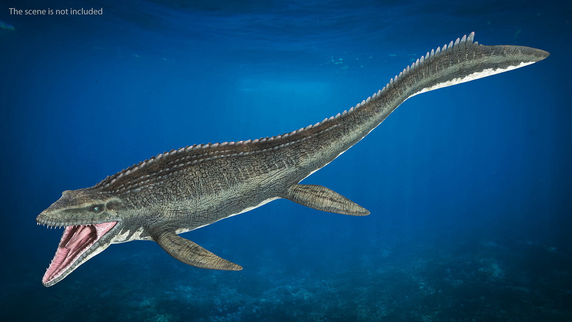 Mosasaurus Swimming 3D model