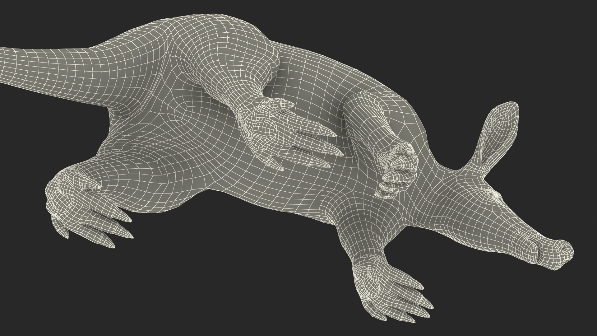 3D Mammal Aardvark Walking Pose model