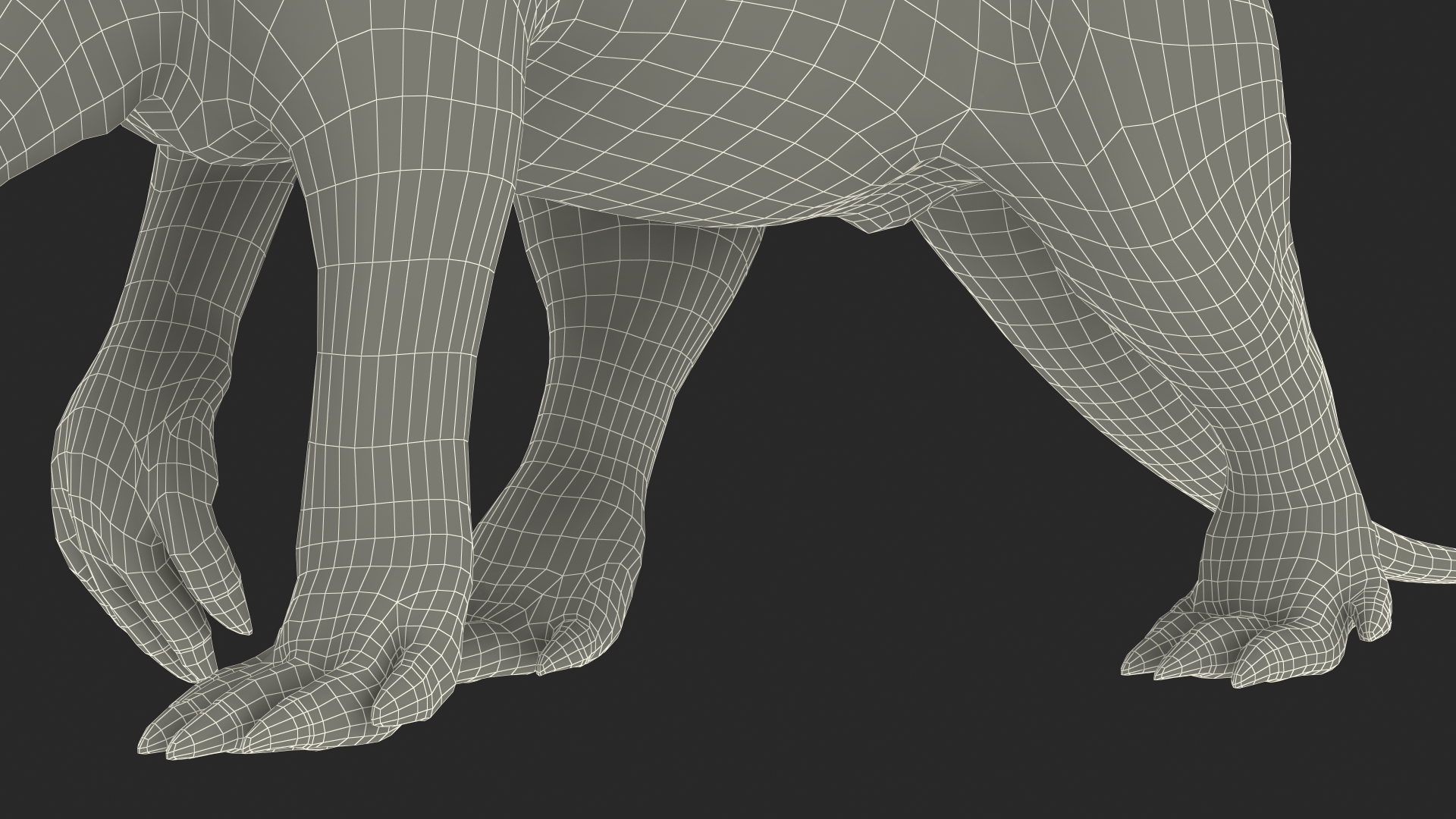 3D Mammal Aardvark Walking Pose model