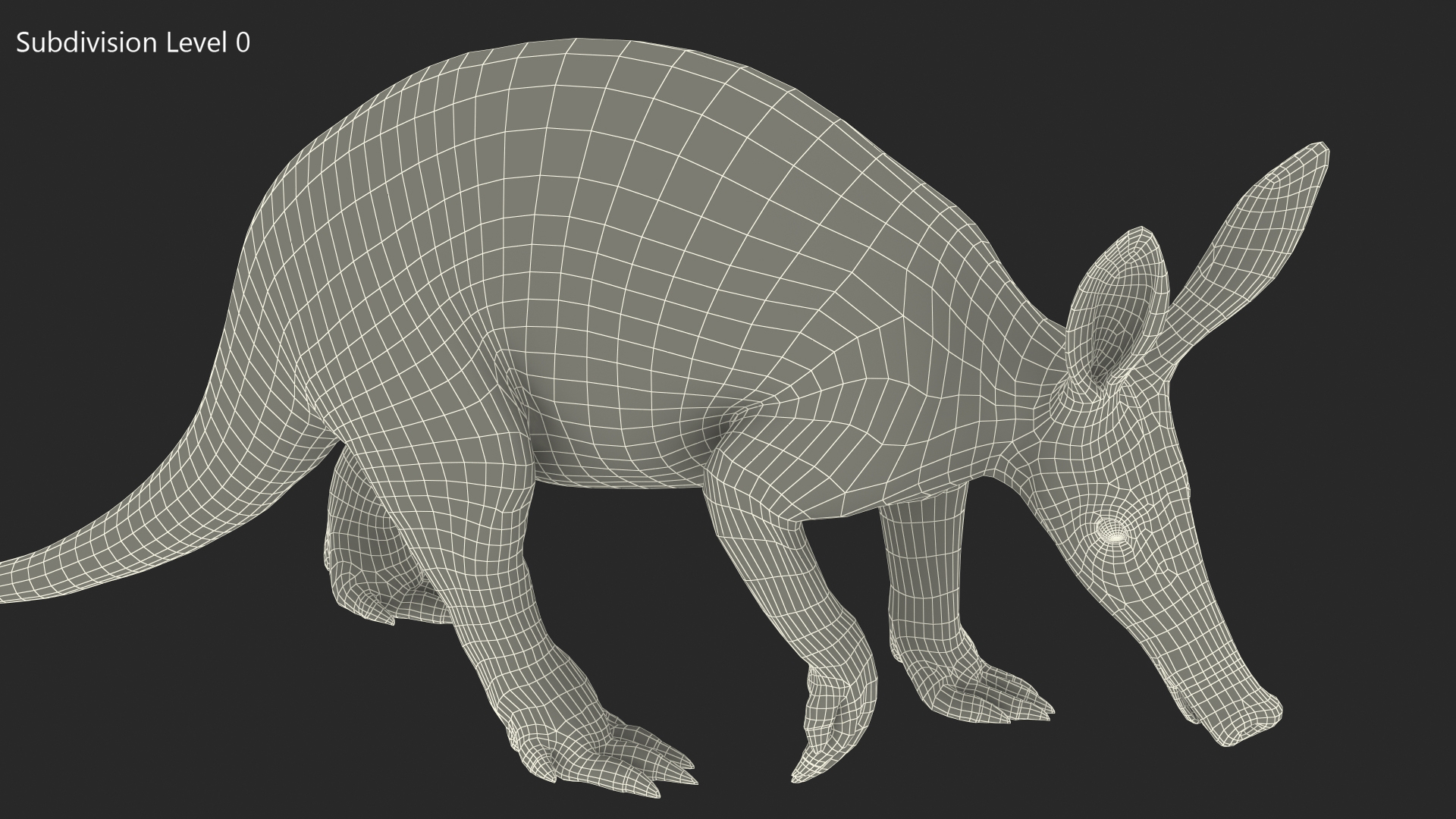 3D Mammal Aardvark Walking Pose model