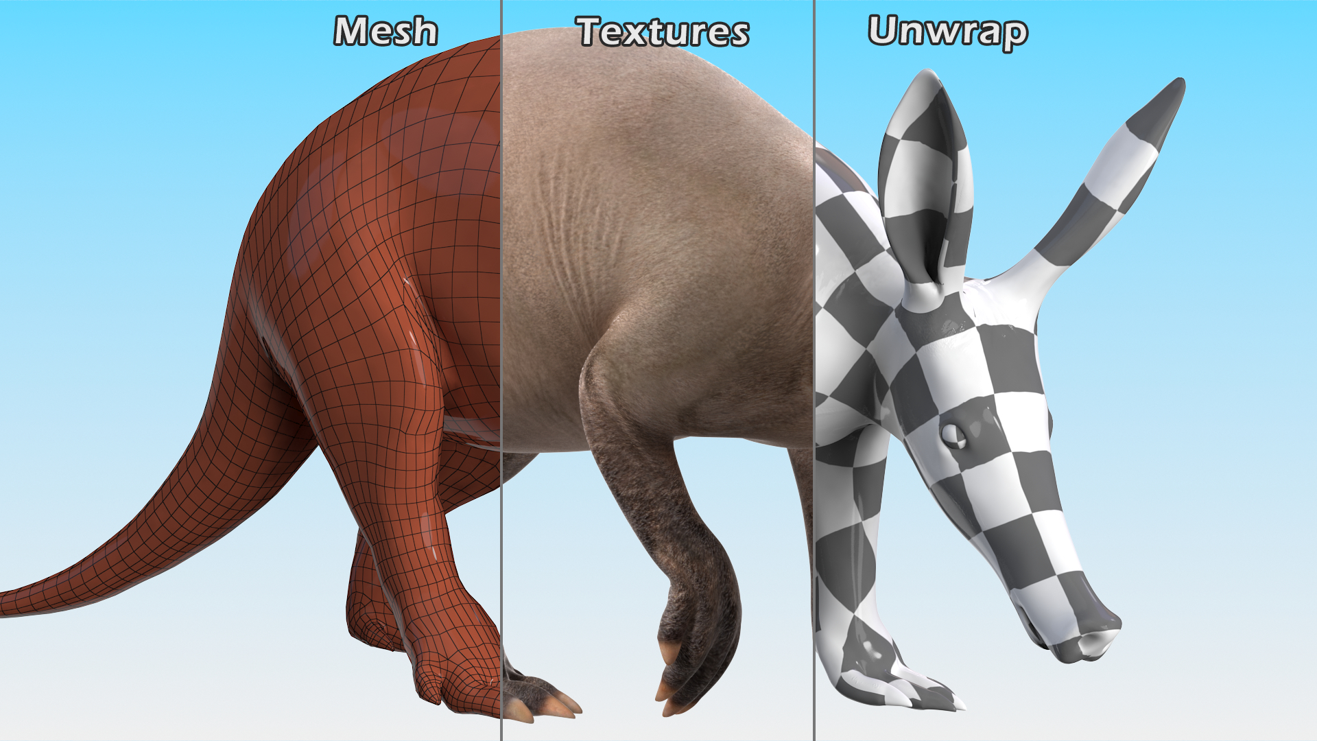 3D Mammal Aardvark Walking Pose model