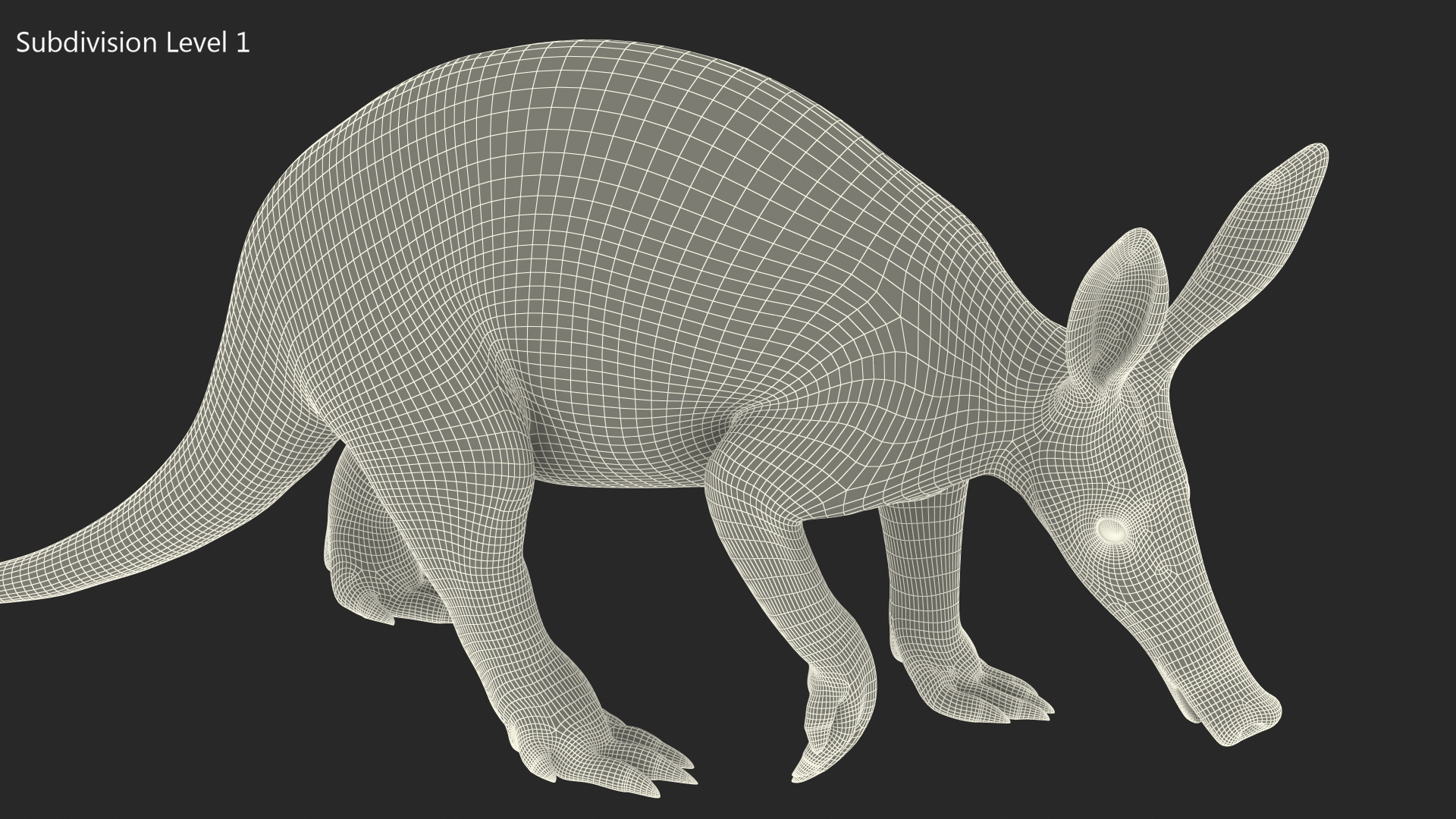 3D Mammal Aardvark Walking Pose model