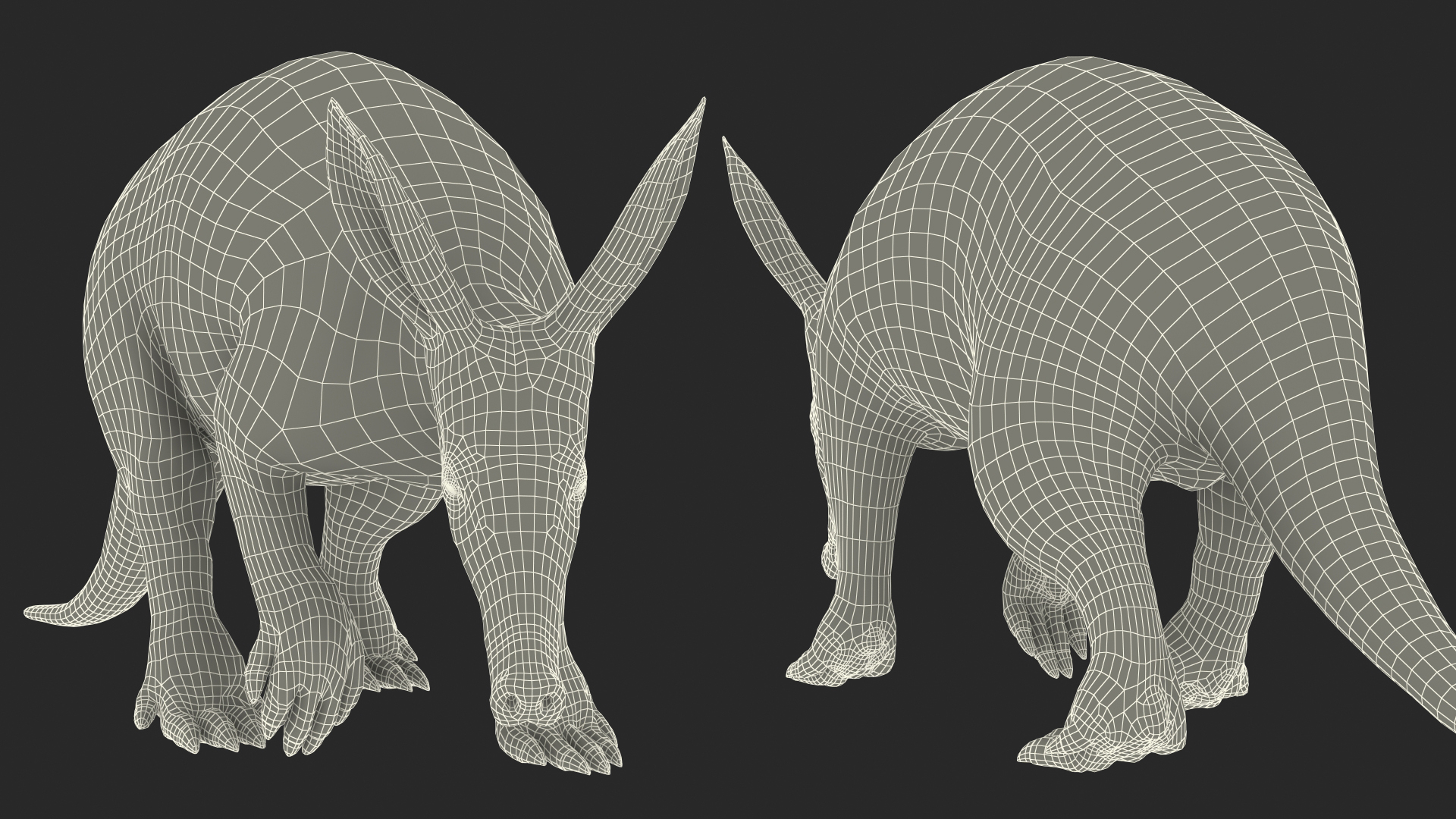 3D Mammal Aardvark Walking Pose model