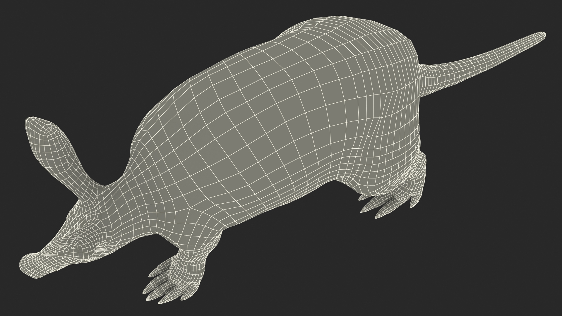 3D Mammal Aardvark Walking Pose model