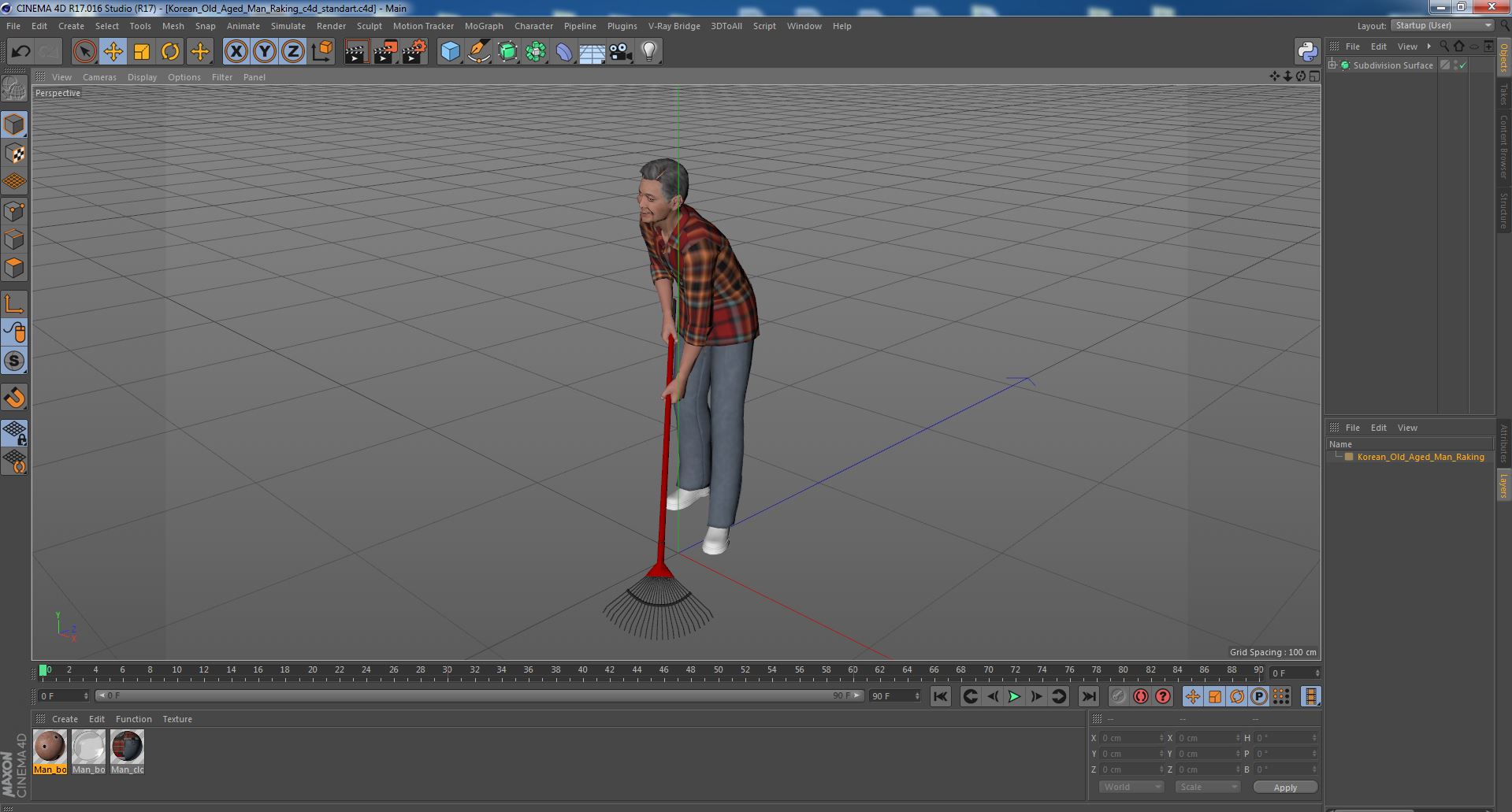 3D Korean Old Aged Man Raking