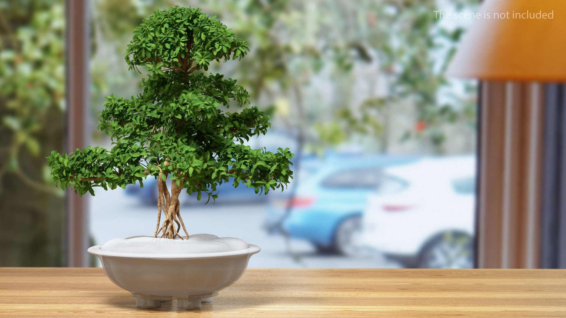 3D Small Bonsai Green Tree model