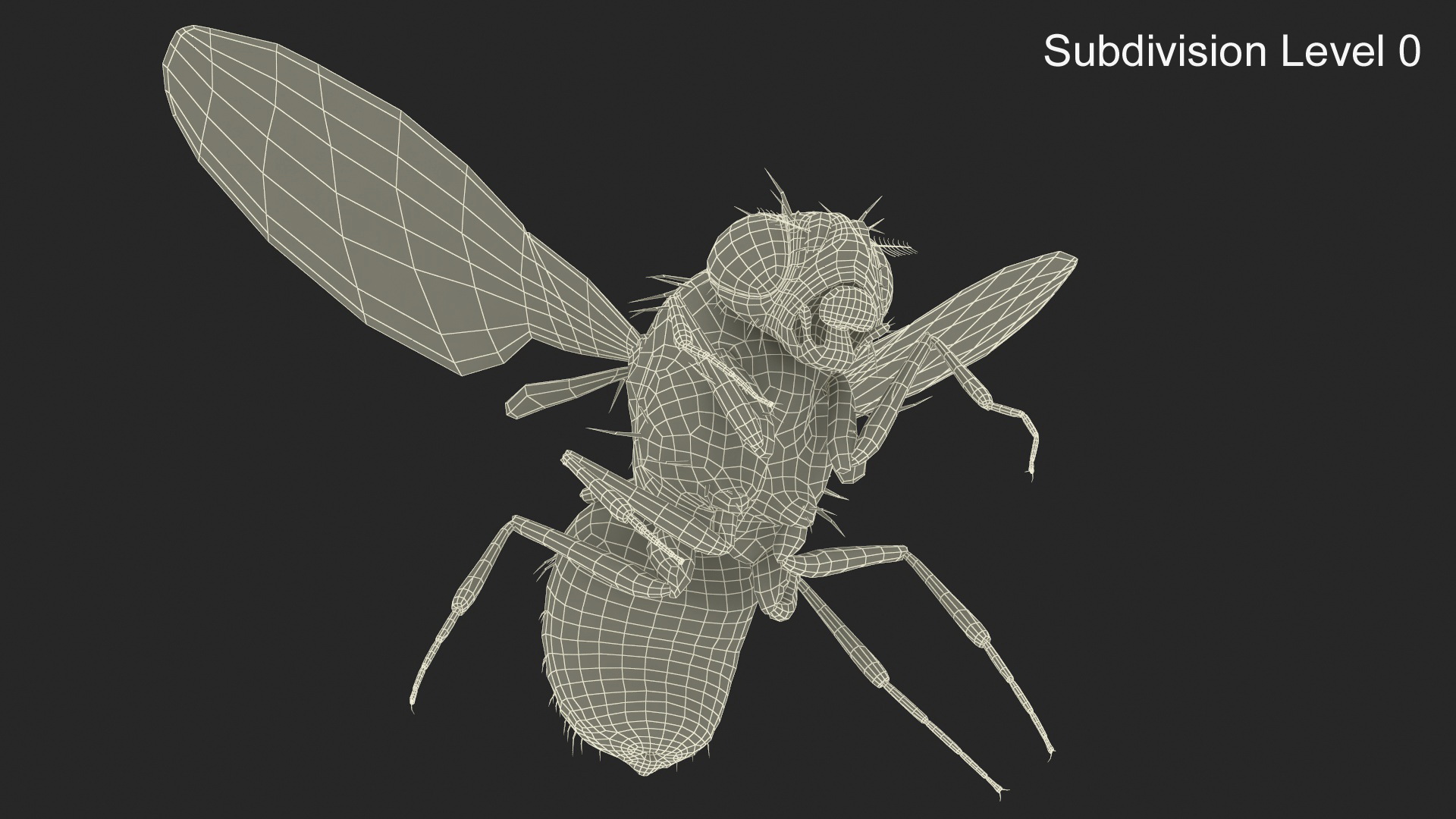 3D model Fruit Fly Black In Flight