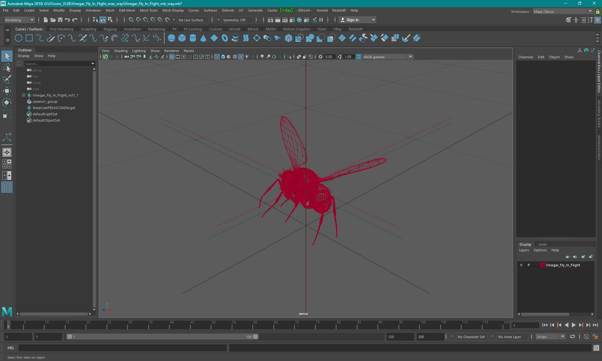 3D model Fruit Fly Black In Flight