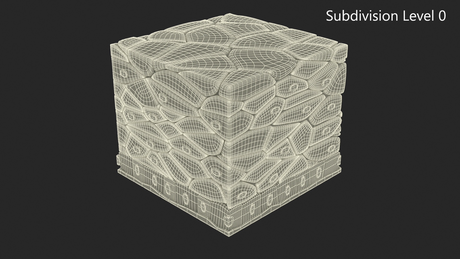 3D Stratified Epithelium