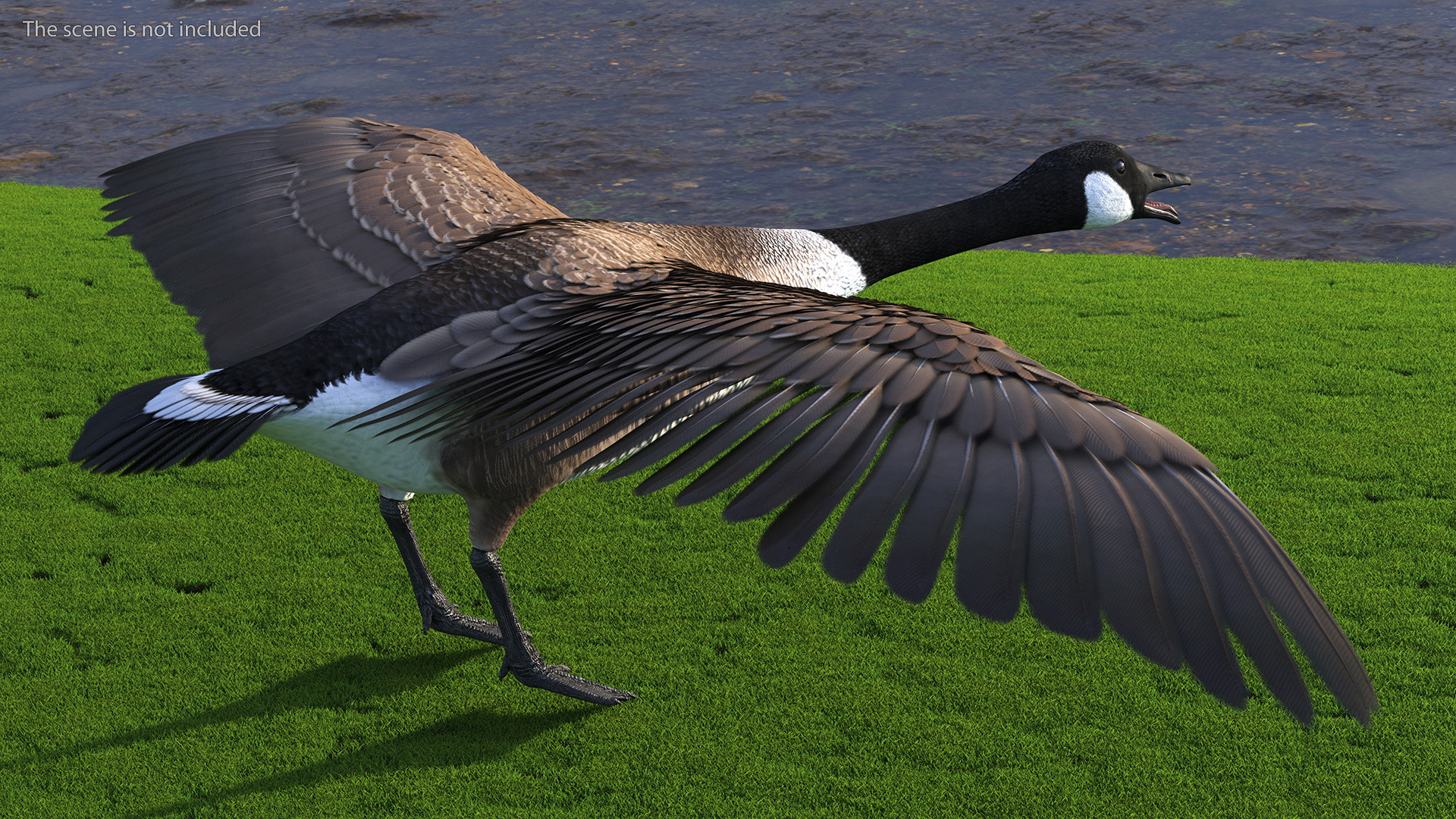 3D model Wild Goose