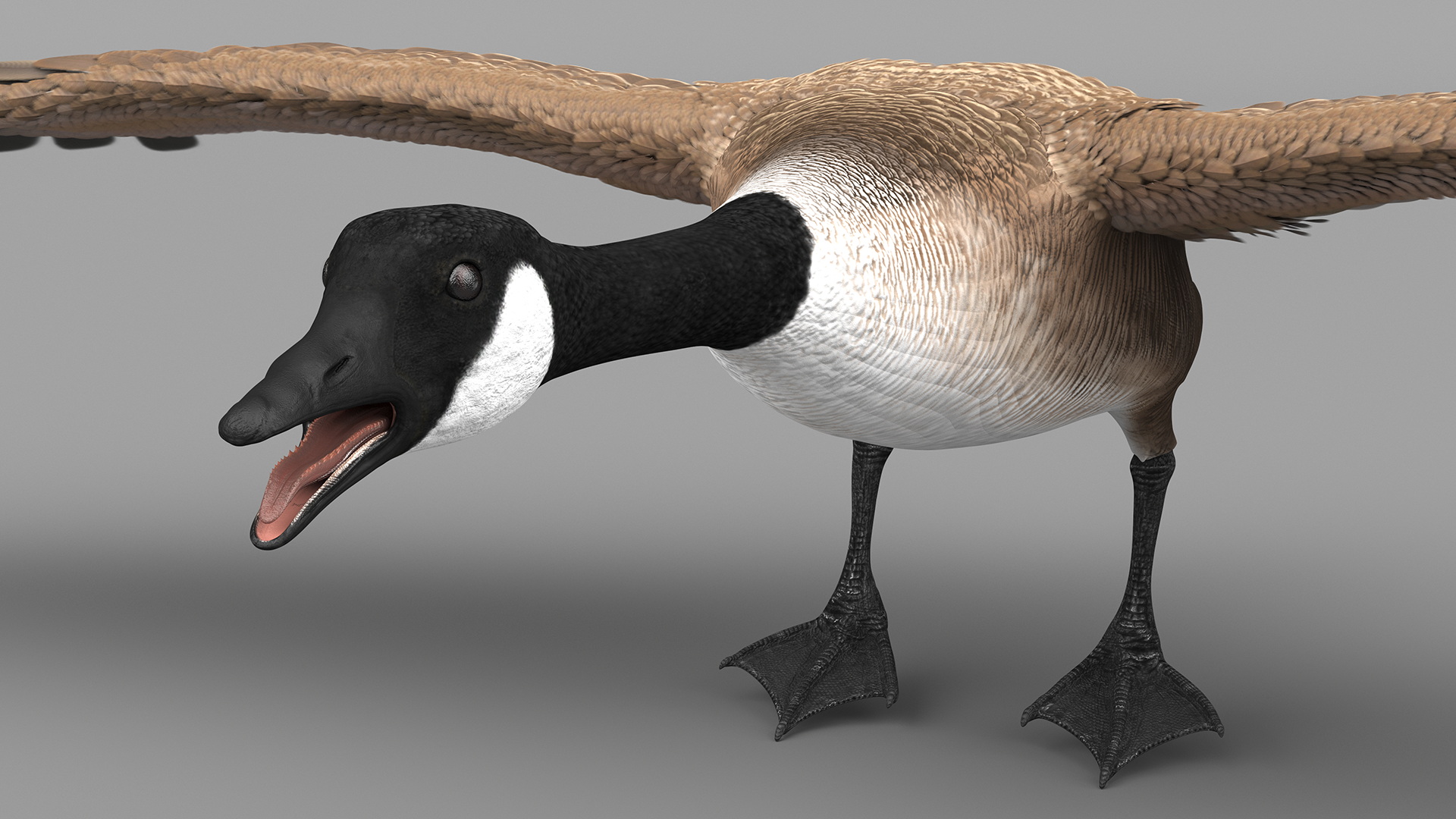 3D model Wild Goose