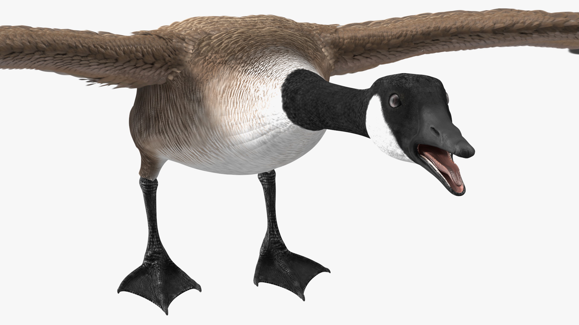 3D model Wild Goose