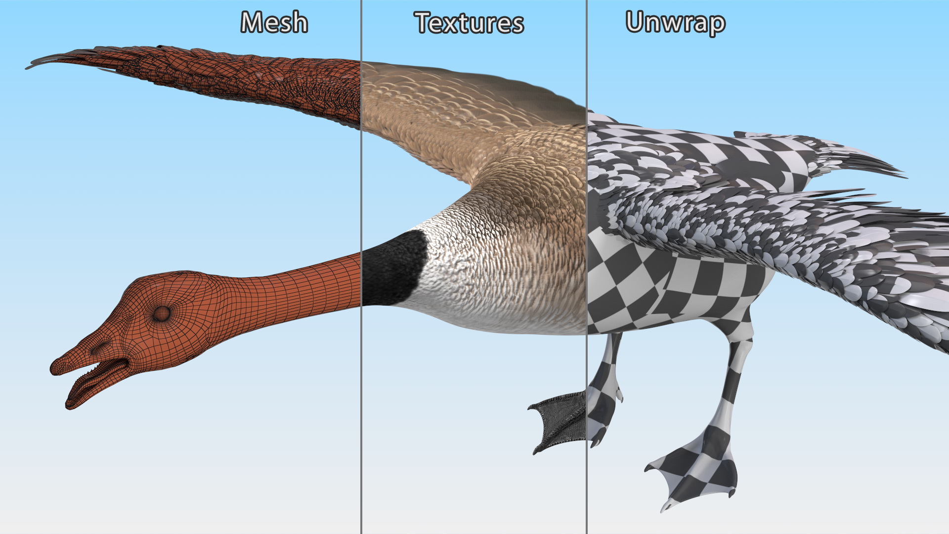 3D model Wild Goose