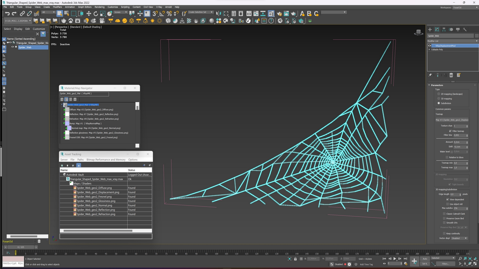 3D Triangular Shaped Spider Web model