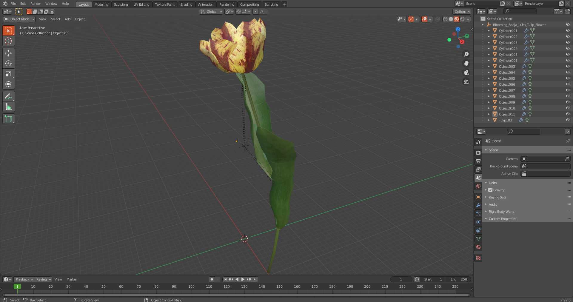 Blooming Banja Luka Tulip Flower 3D