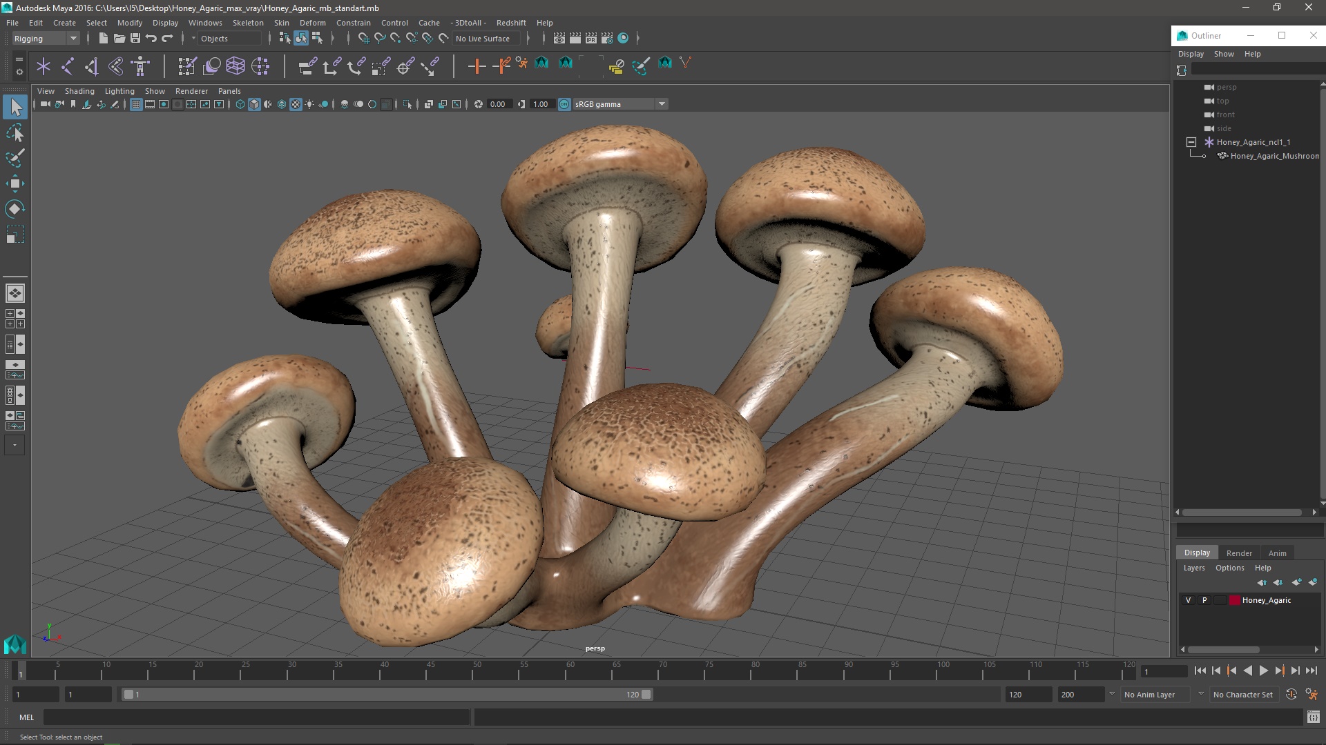 Honey Agaric 3D