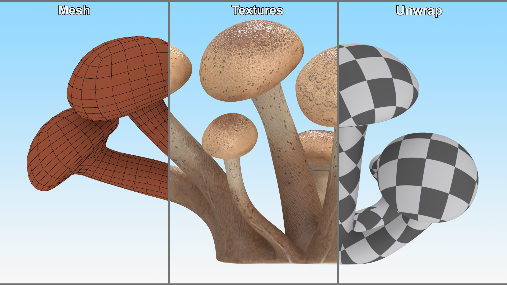 Honey Agaric 3D