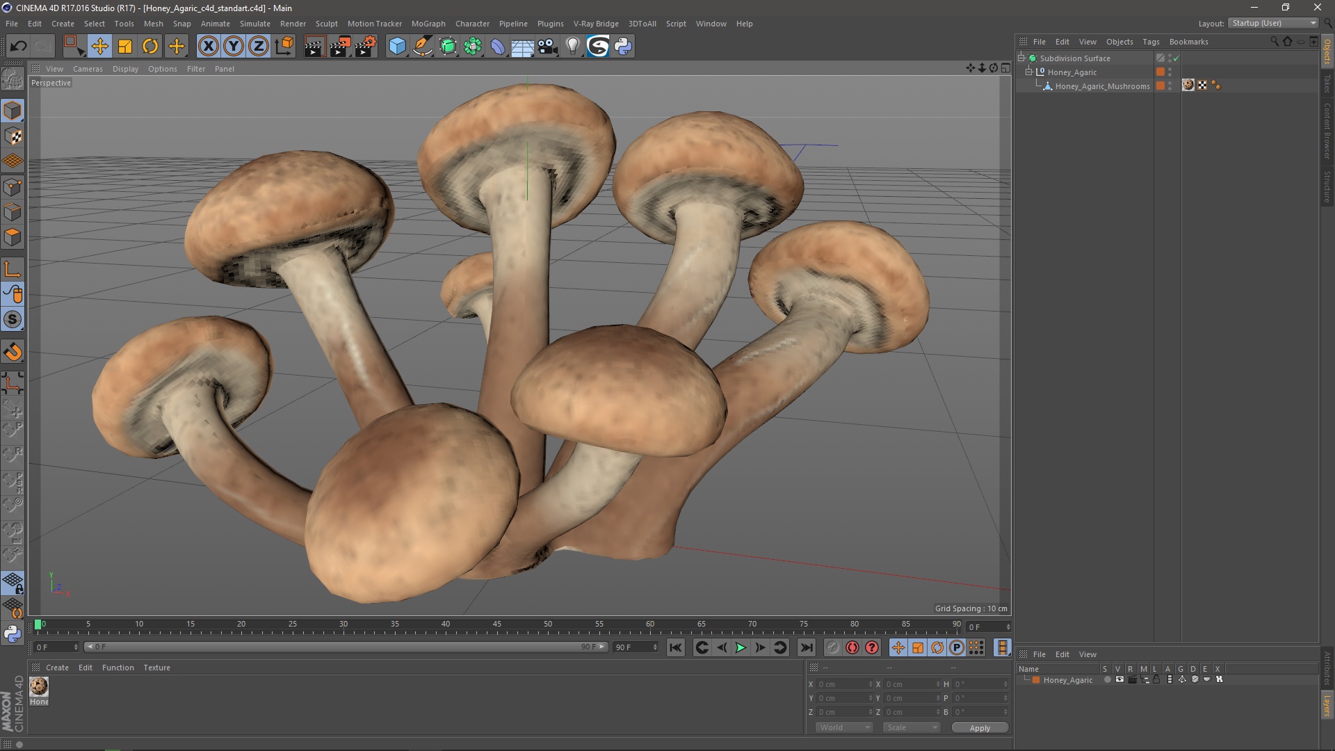 Honey Agaric 3D