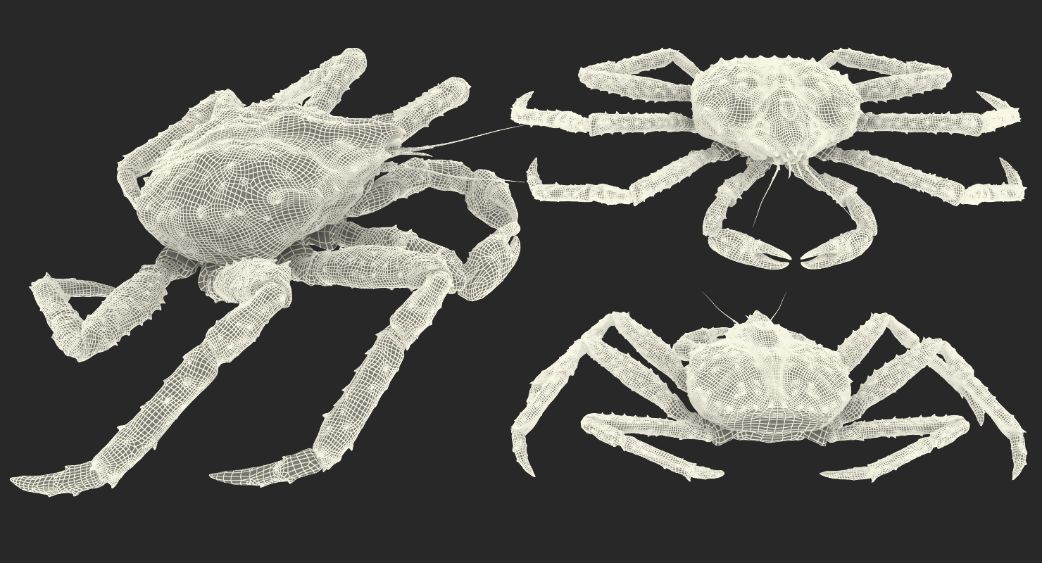 3D Red King Crab model