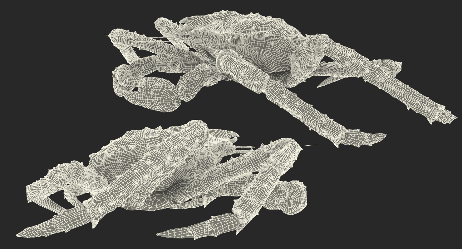 3D Red King Crab model