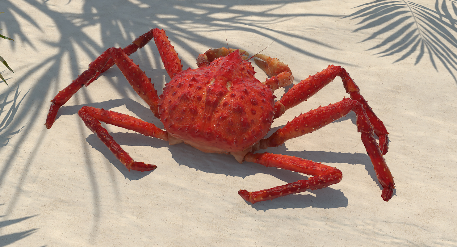 3D Red King Crab model