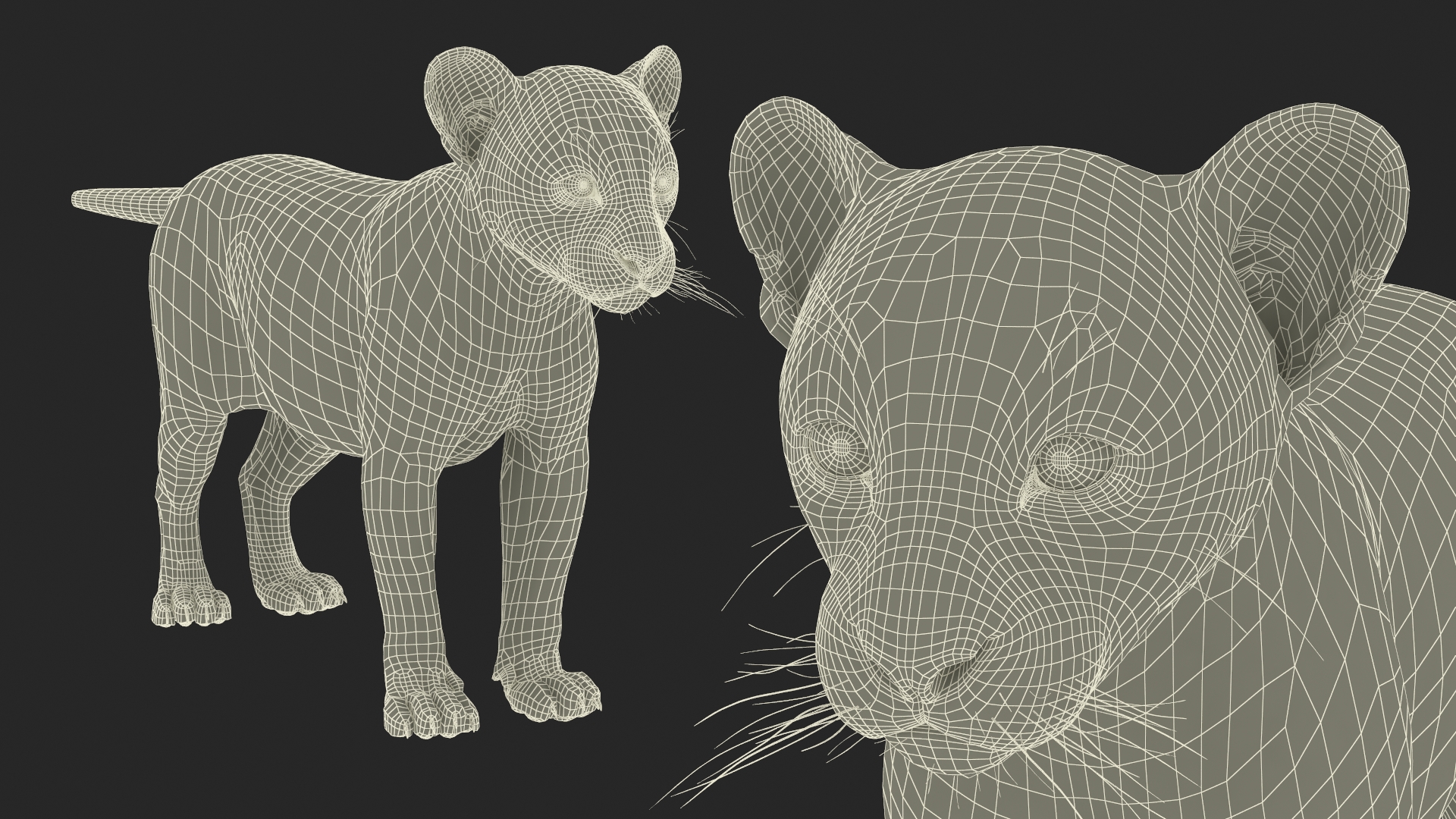 3D Black Leopard Cub Standing Pose