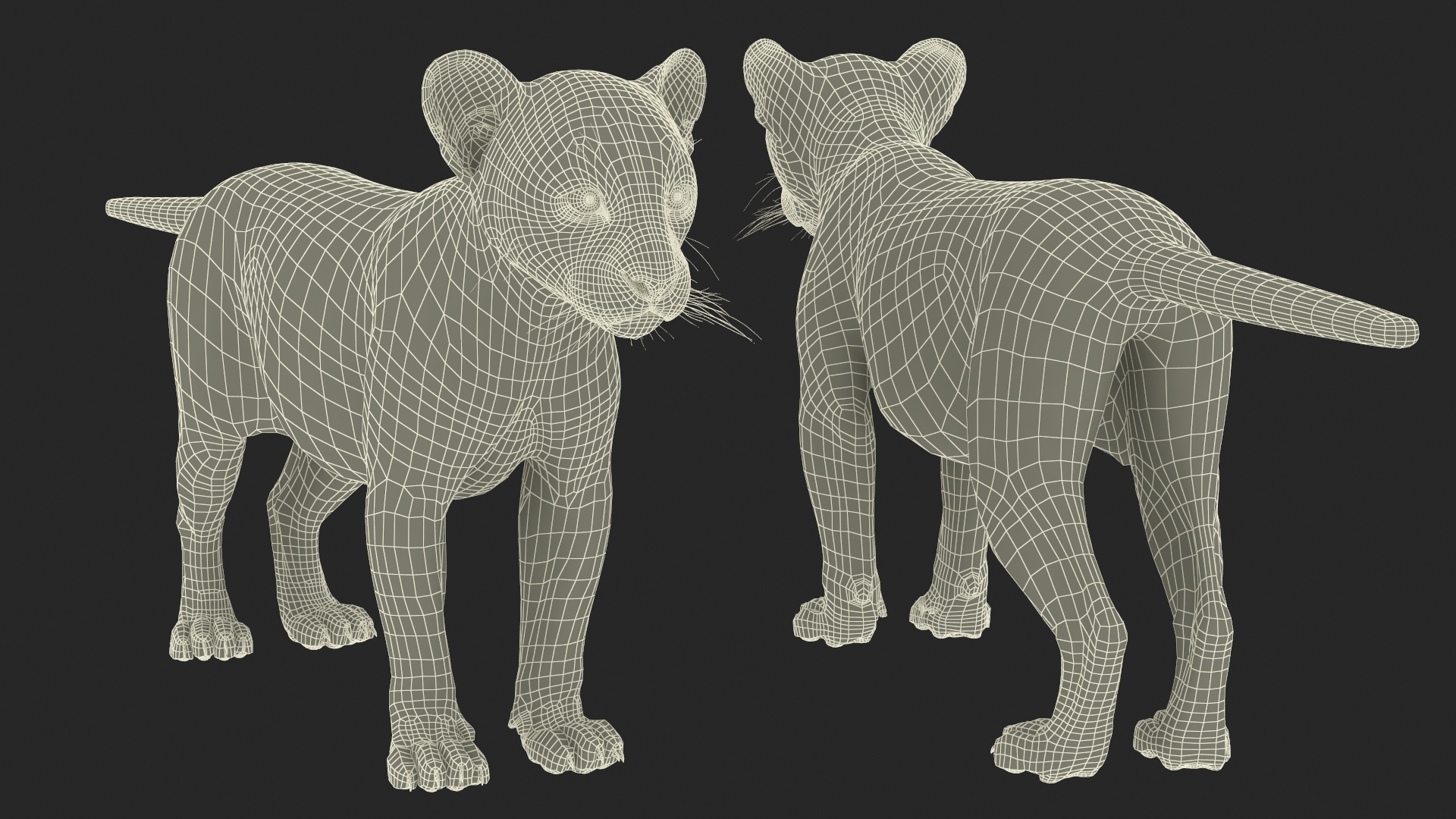 3D Black Leopard Cub Standing Pose