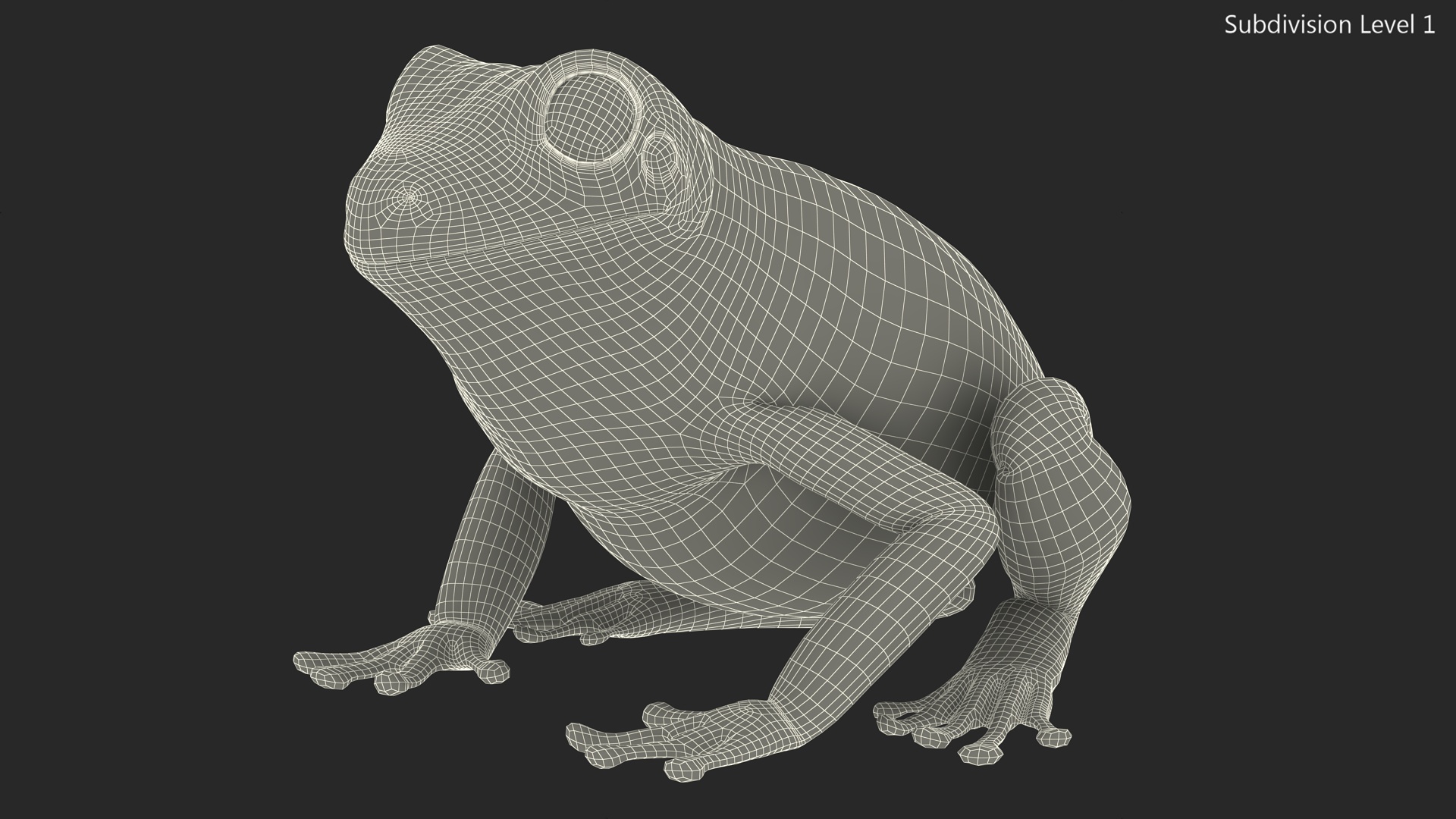 3D model Realistic Green Tree Frog