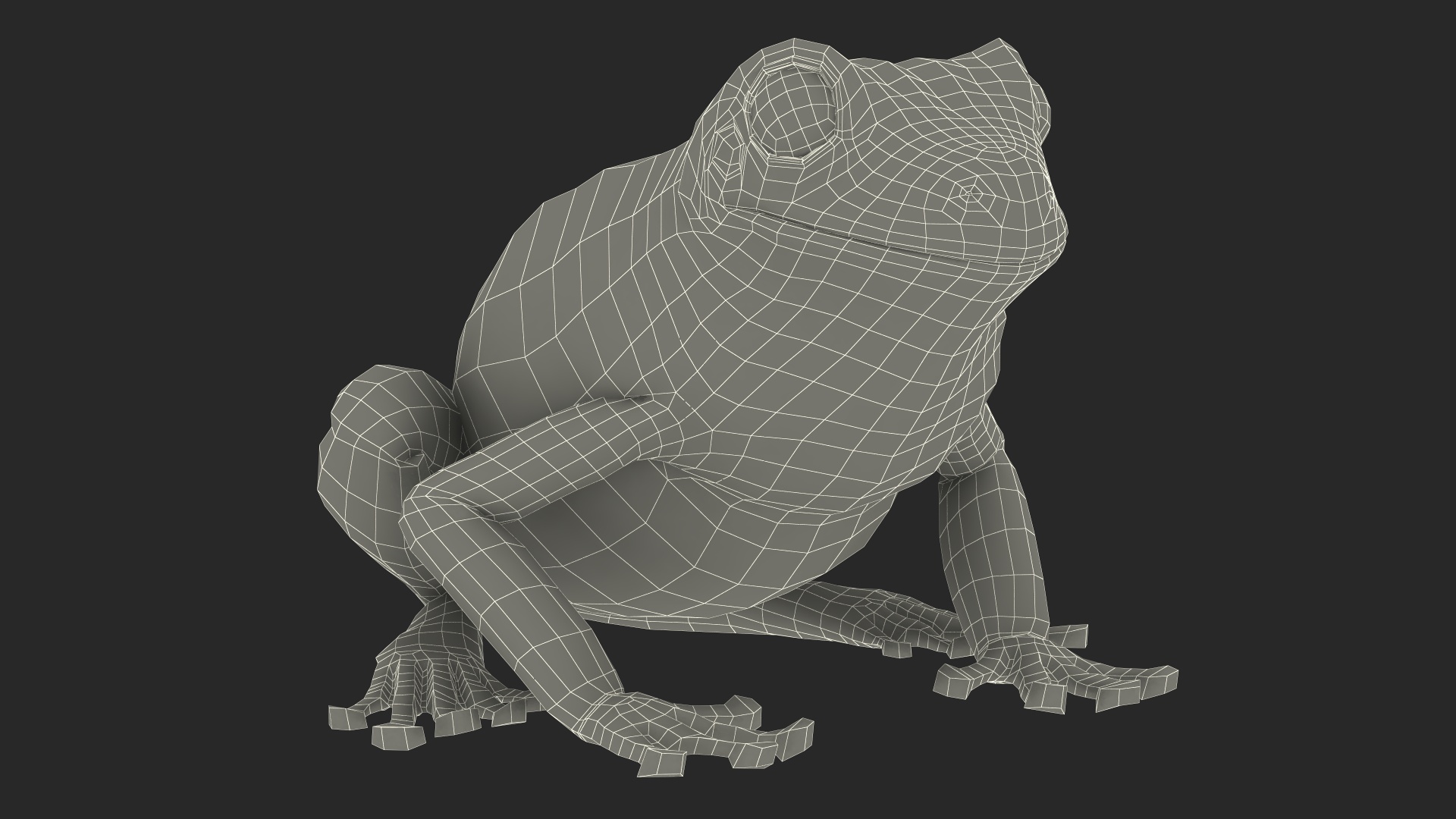 3D model Realistic Green Tree Frog