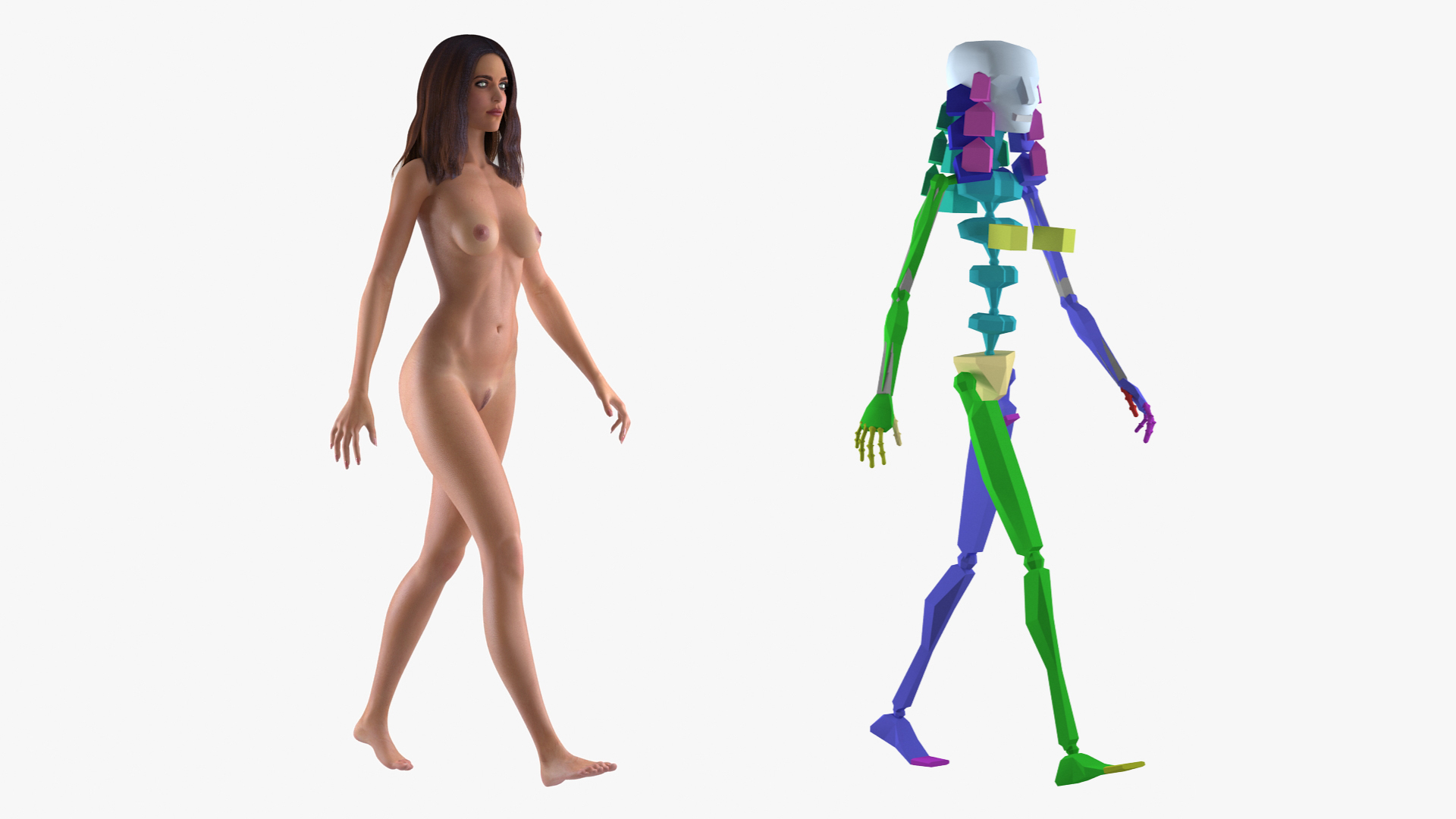 Nude Woman Rigged 3D