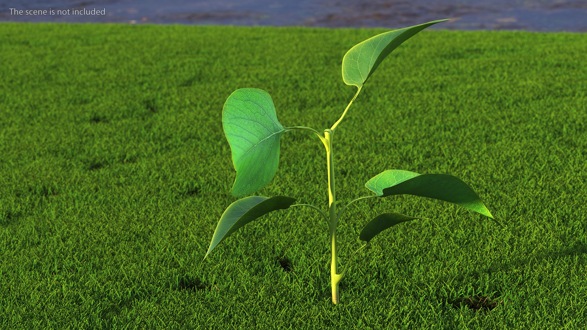 Branch with Green Leaves 3D model