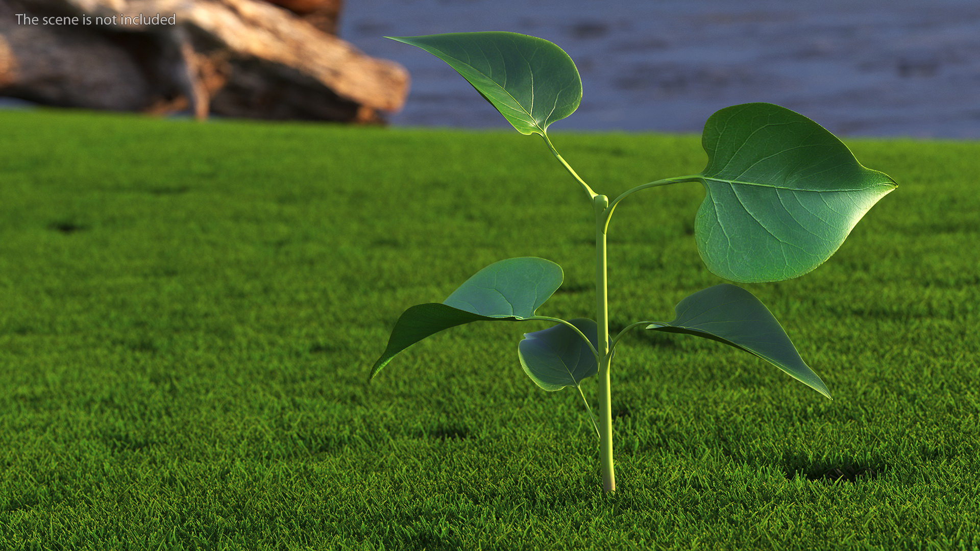 Branch with Green Leaves 3D model