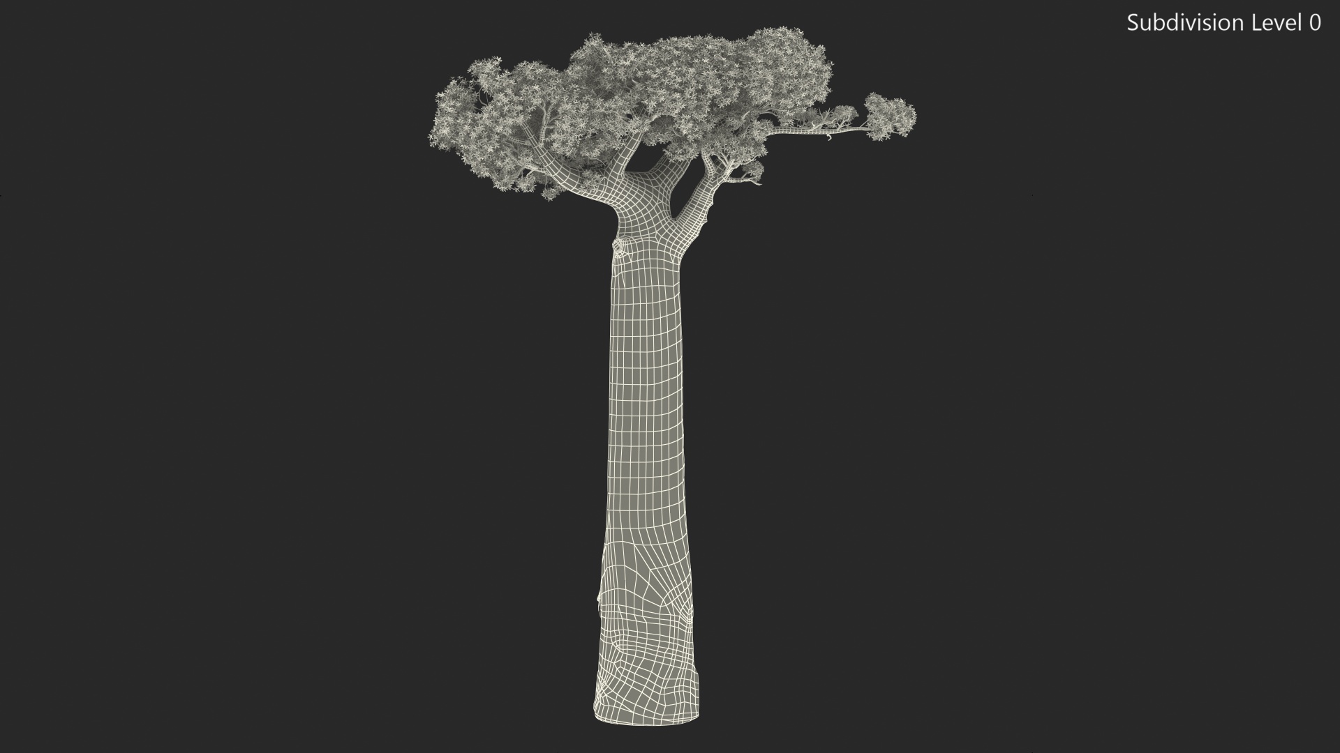 3D Baobab Tree