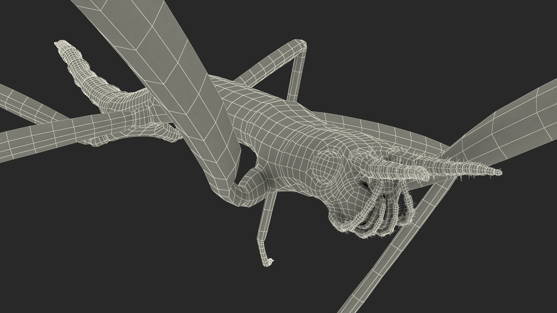 3D model Stick Insect Brown Rigged