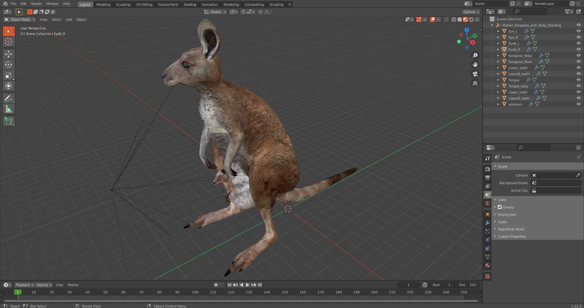 Mother Kangaroo with Baby Standing 3D model