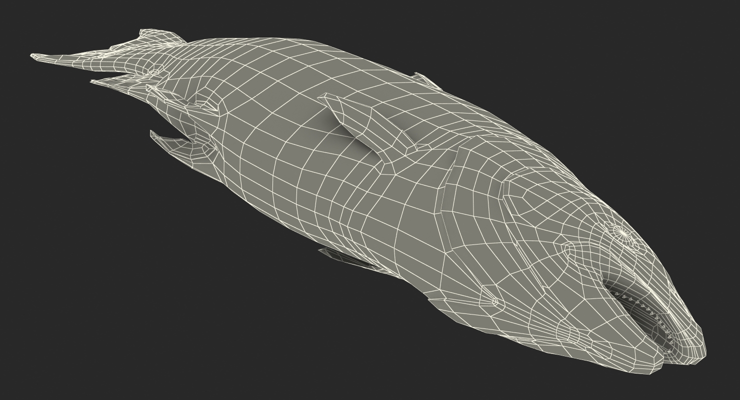 Atlantic Salmon Fish Lying on the Floor 3D model