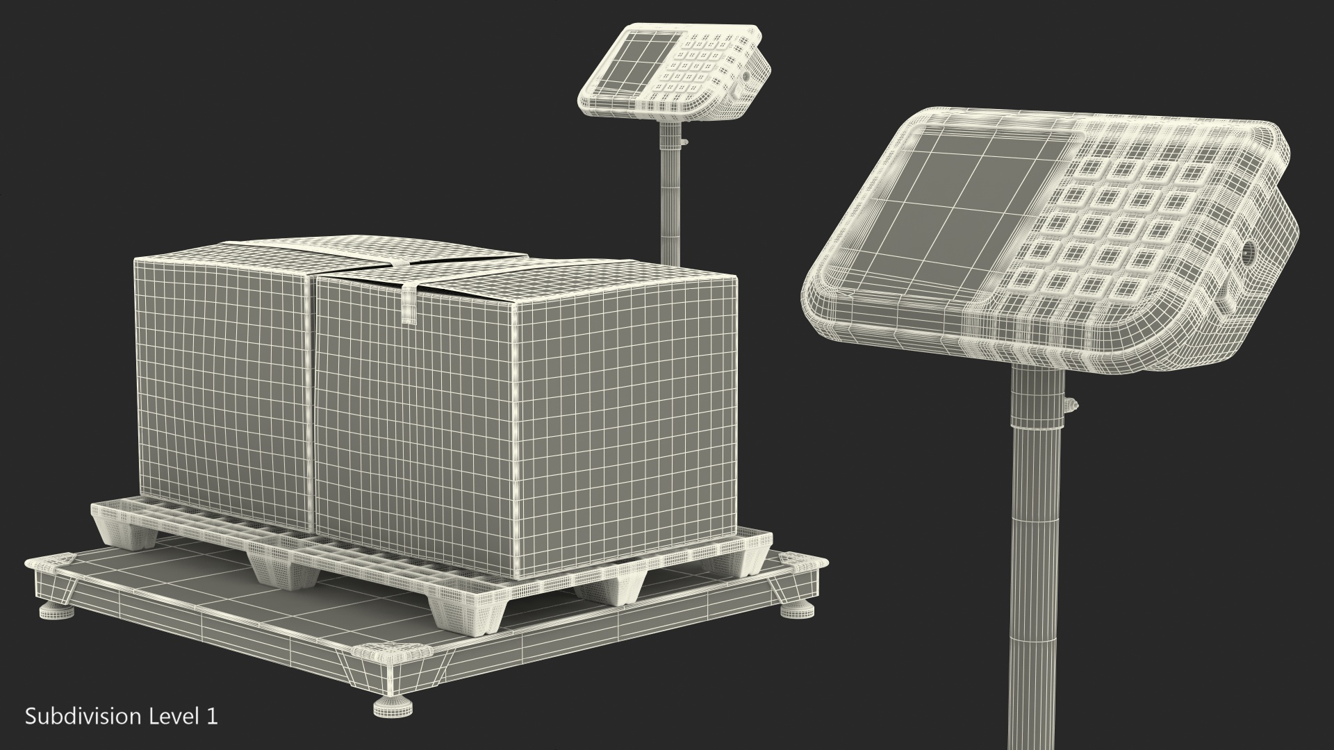 Warehouse Scale with Plastic Pallet and Parcels 3D