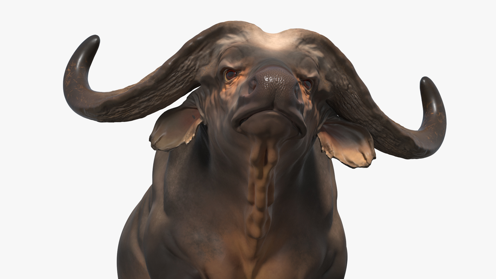 3D African Buffalo Walking Pose model