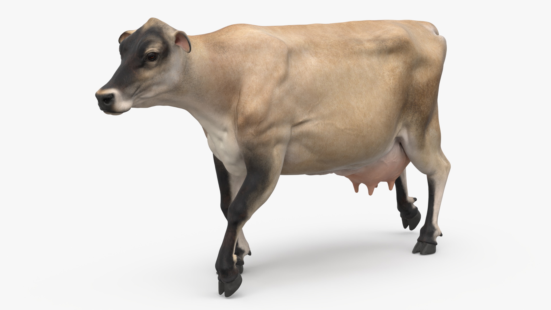 Mini Cow Goes Beige 3D model