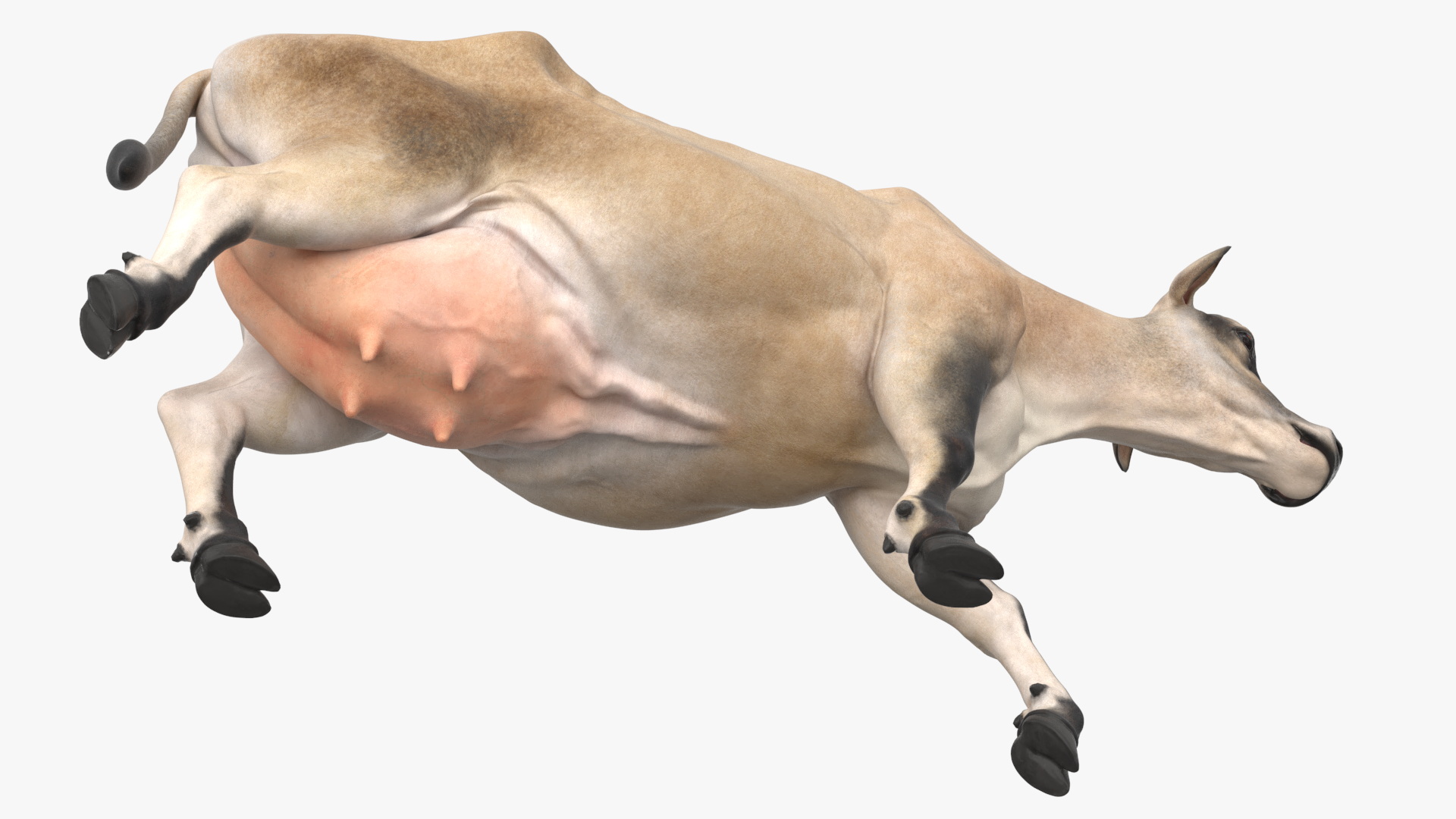 Mini Cow Goes Beige 3D model