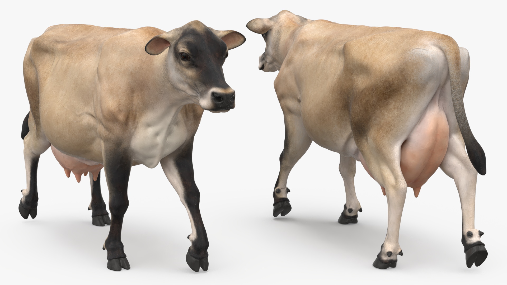 Mini Cow Goes Beige 3D model