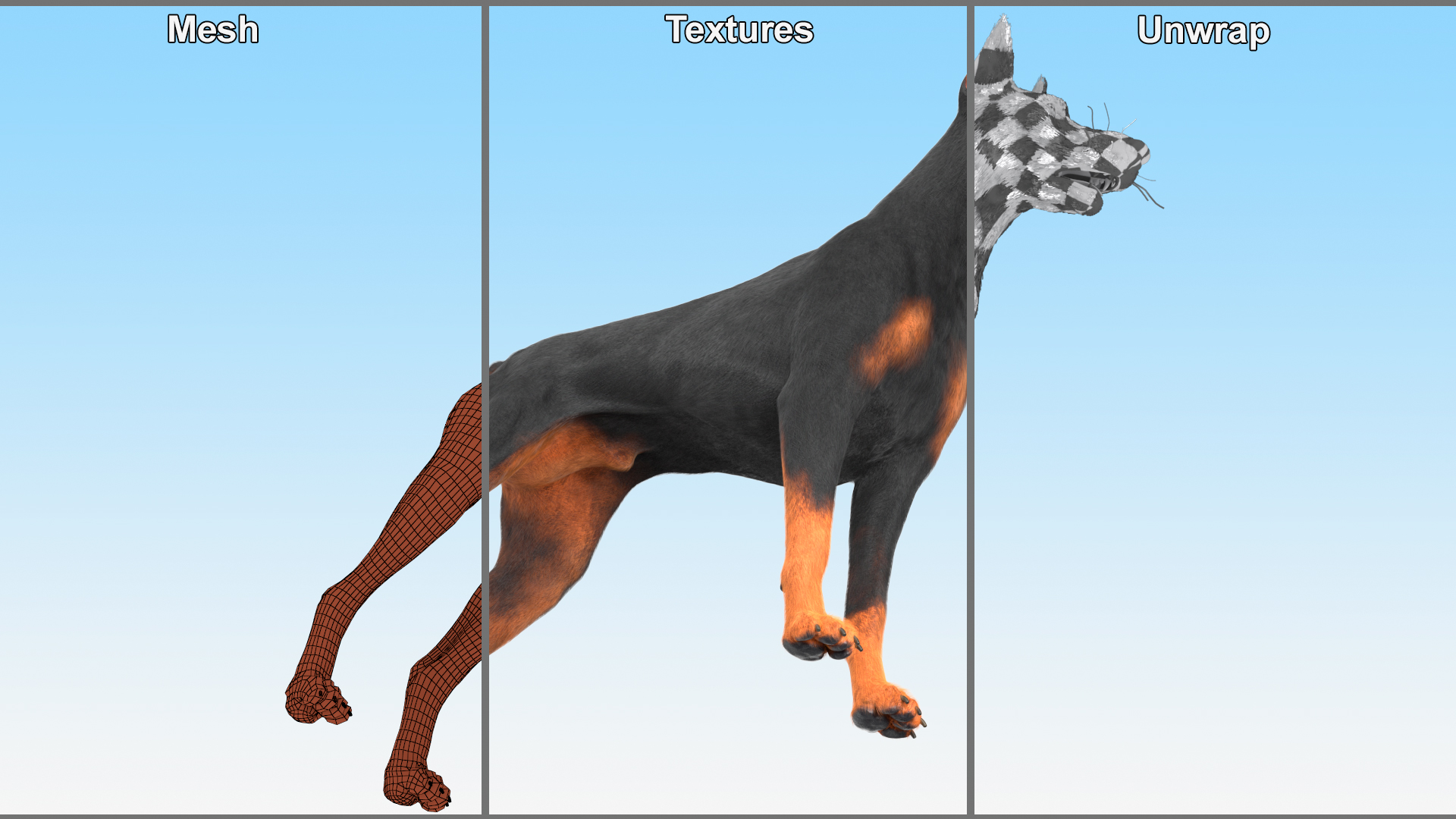 3D model Doberman Pinscher Dog Fur