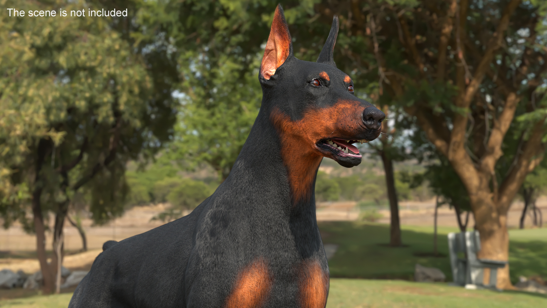 3D model Doberman Pinscher Dog Fur