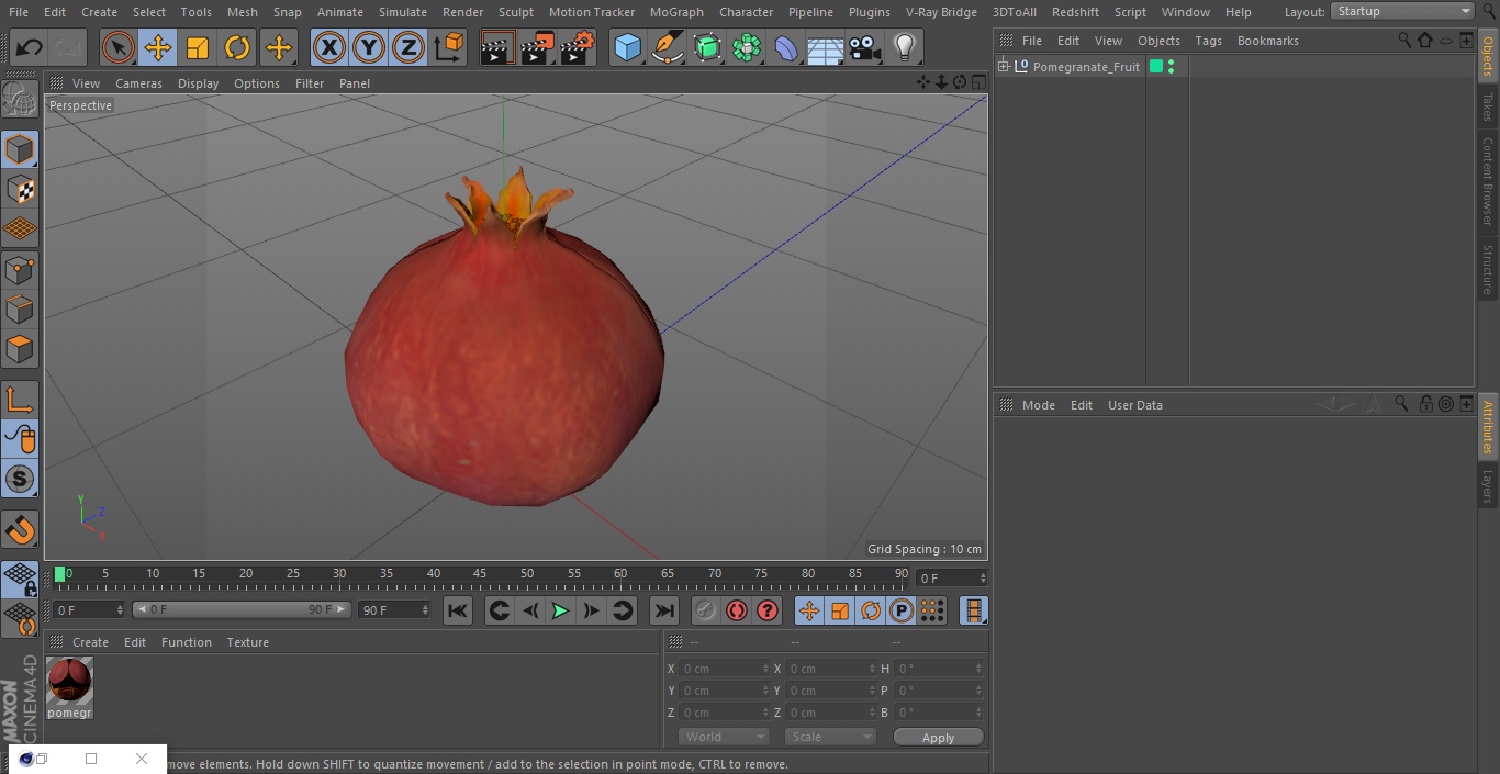 Pomegranate Fruit 3D