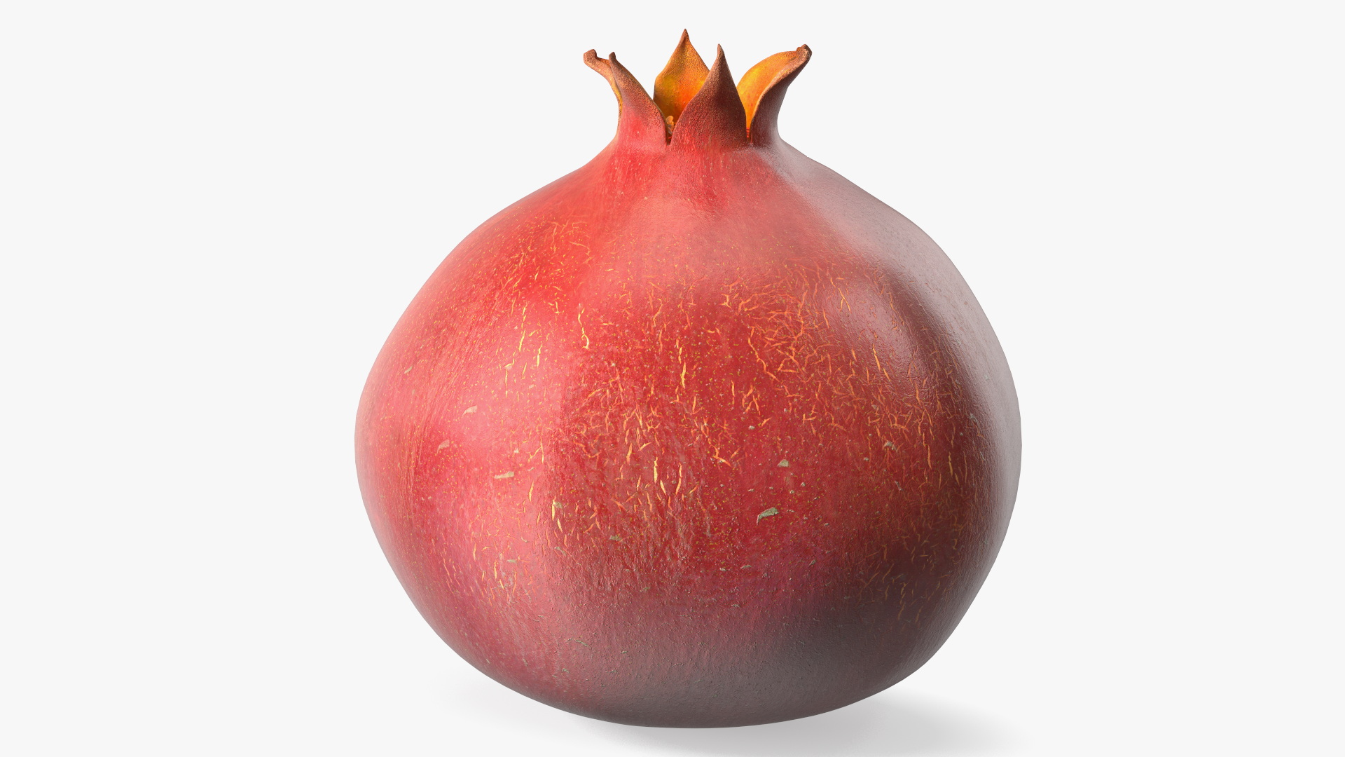 Pomegranate Fruit 3D