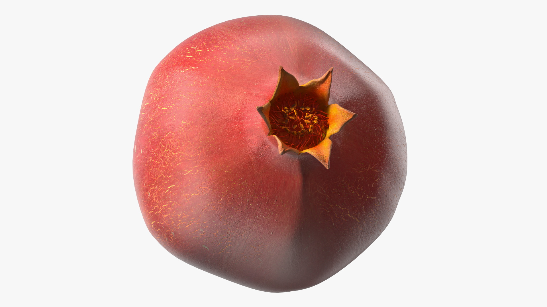 Pomegranate Fruit 3D